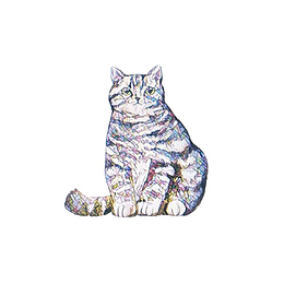 美国短毛猫水彩画素材图片