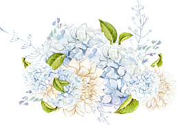 手绘水彩蓝色绣球花
