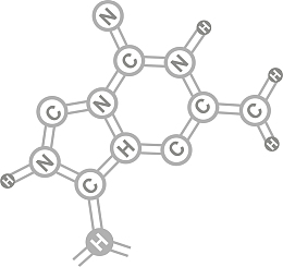 矢量图创意高分子模型
