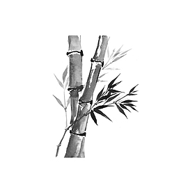 水墨风竹子免抠素材