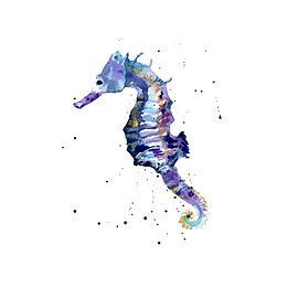 手绘水彩海马
