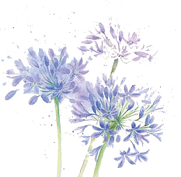 水彩鲜花