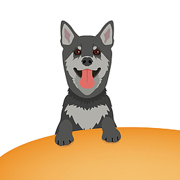 趴在桌子上的警犬