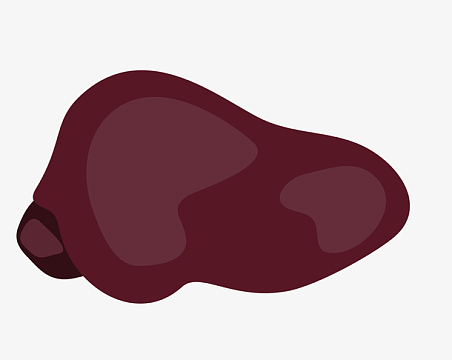 矢量卡通扁平化猪肝png