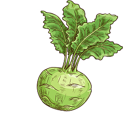 矢量卡通扁平化芥菜png