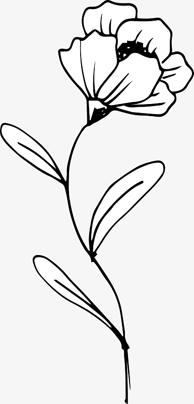 psdpng简笔书籍花草教育海报背景(1920x900)png卡通简约黑白插画小