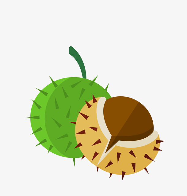 矢量卡通简洁扁平化栗子