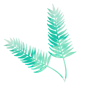 简单叶子装饰素材-简单叶子装饰图片元素-觅元素