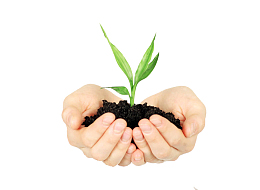 PNG手臂土壤禾苗2