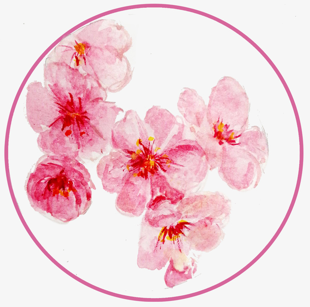 关键词 : 手绘,装饰图案,桃花,花朵,花卉,装饰鲜花,手绘桃花[声明] 觅