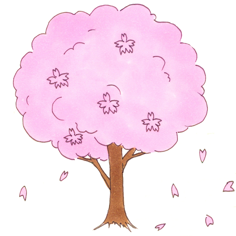 粉色浪漫樱花树木