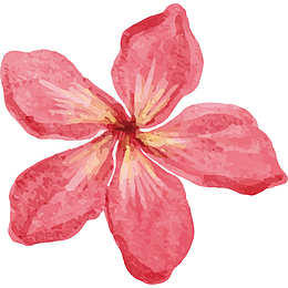 红花花蕊五瓣花型设计图