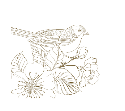 卡通手绘可爱的小鸟