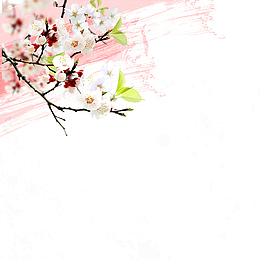 高清一支桃花下载