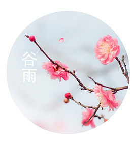 唯美清新美丽的桃花海报