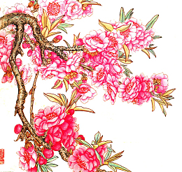 国画桃花