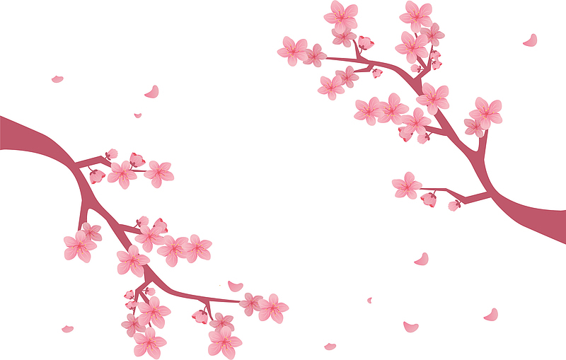 春暖花开粉红桃花