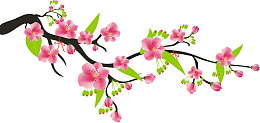 粉色中国风桃花花枝