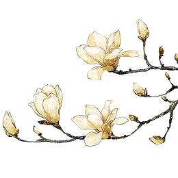 白色桃花