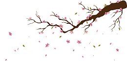 纷纷落下的桃花花瓣