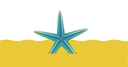 手绘沙滩上的海星矢量图
