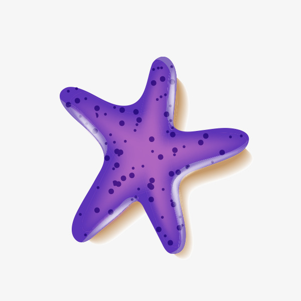 紫色立体海星
