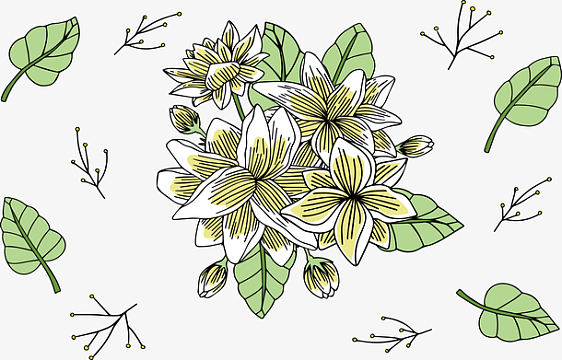 手绘茉莉花丛
