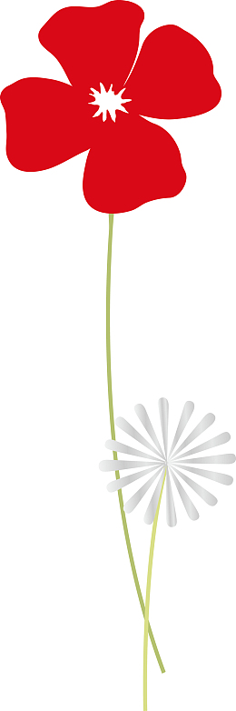 喜庆大红花黑底红花