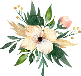 手绘水彩花瓣花朵