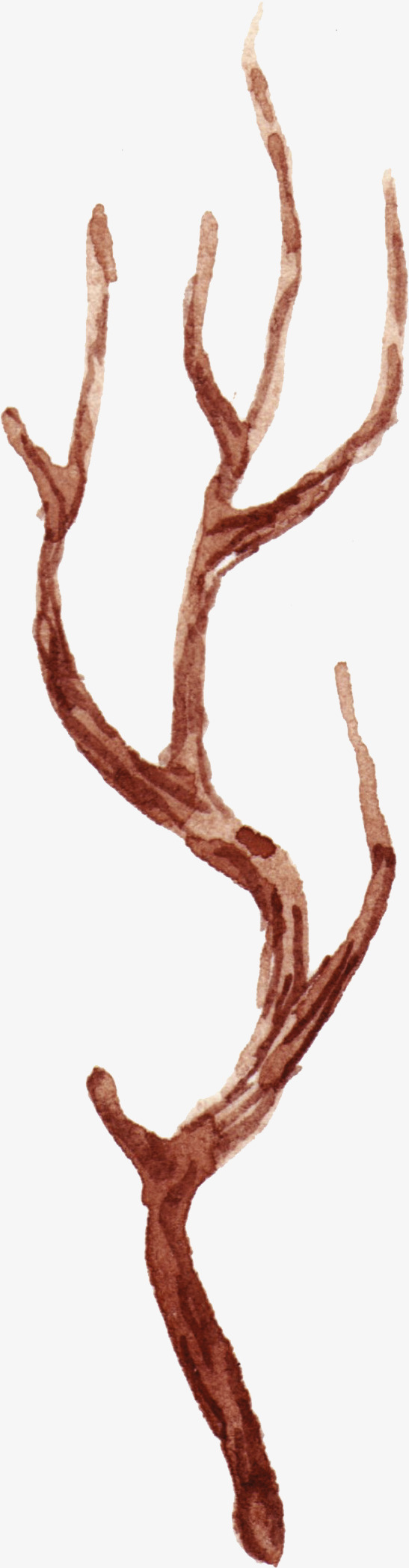 手绘树枝素材免抠