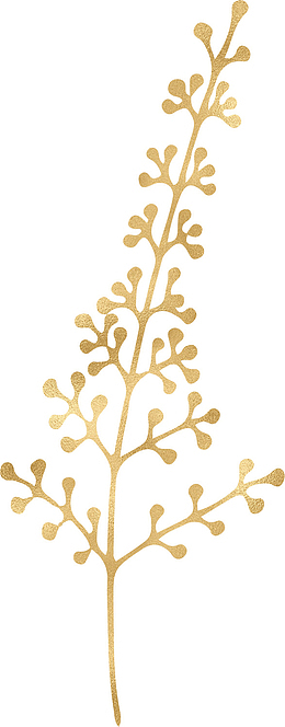 手绘金色叶子免抠图