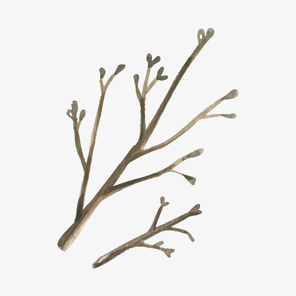 水墨风水彩树枝免抠素材