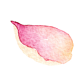 高清免抠手绘水彩花卉叶子素材