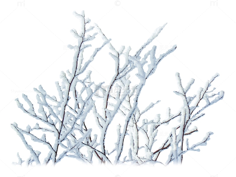卡通手绘冬天雪景树枝