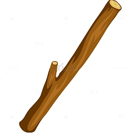 矢量树枝免抠PNG