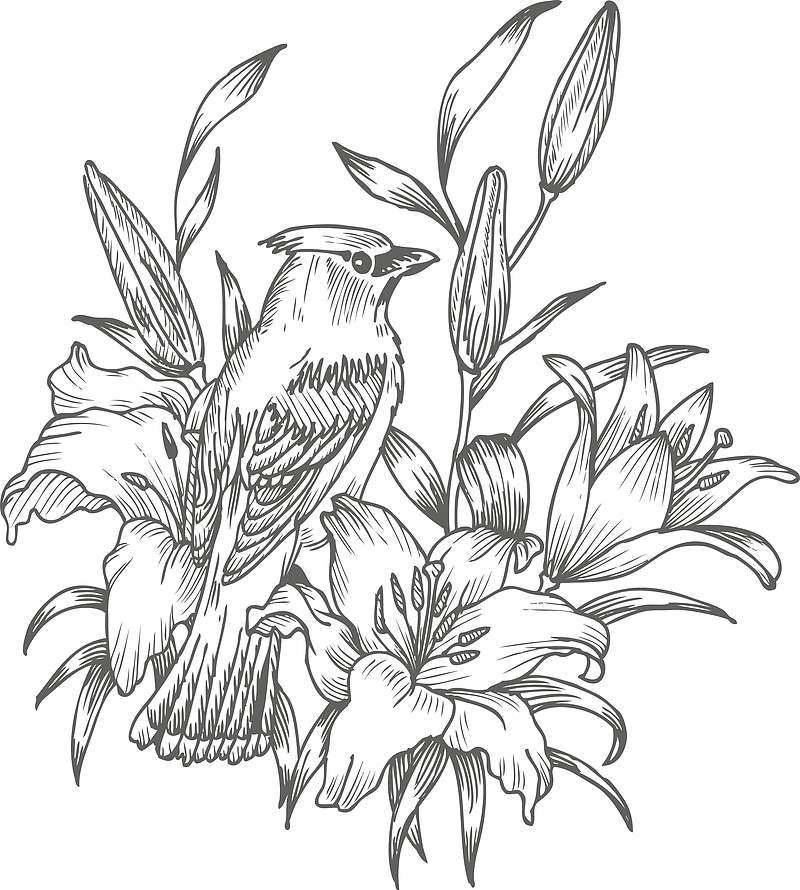 黑白手绘花鸟设计素材