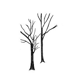 简笔手绘枯树