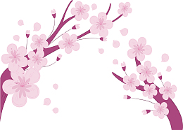 粉红色日本樱花花纹