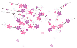 粉红精美樱花花瓣