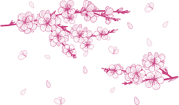 手绘浪漫樱花花纹