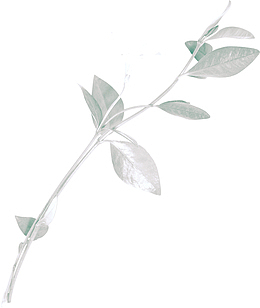 银色创意树枝头