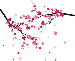 樱花节粉红飞舞花瓣