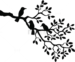 剪影缠绕的树枝