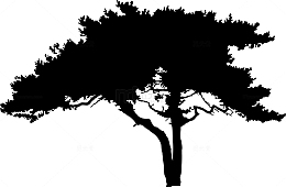 大树剪影