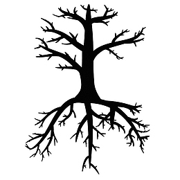 镜面缠绕的树枝