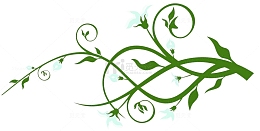 绿色植物藤蔓
