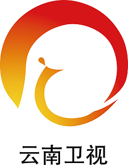 云南卫视logo