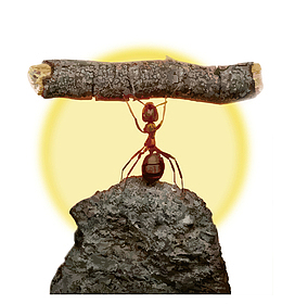 创意企业文化蚂蚁成功插画免抠