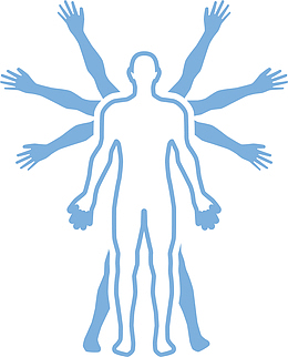 医院学习的人体结构图