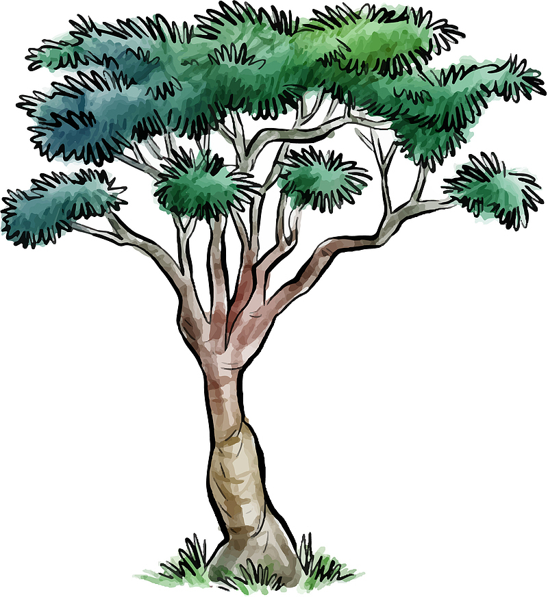 手绘水彩树林绿色树设计元素